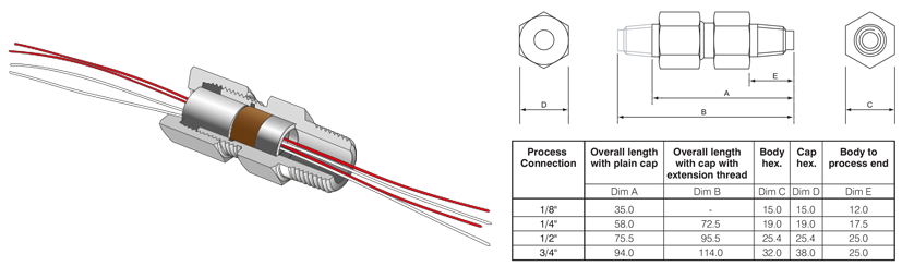 ATEX Feedthroughs for multiple wires and probes